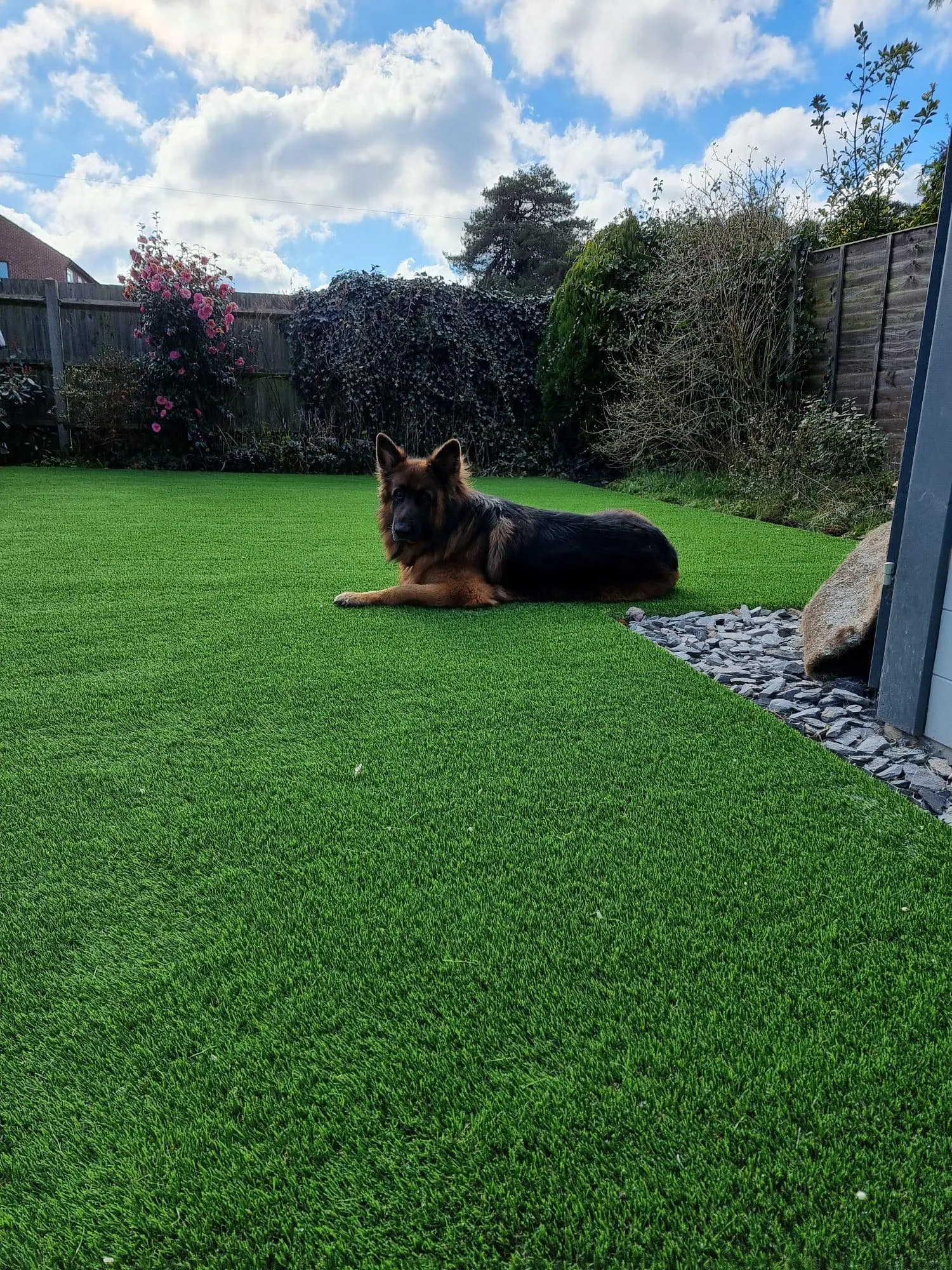 grass around a tree and play house