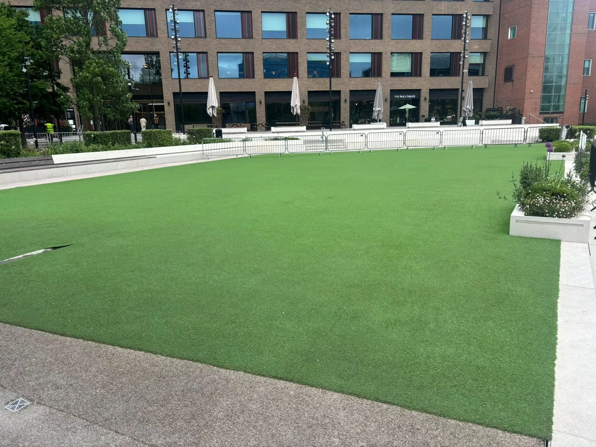 small patch of grass