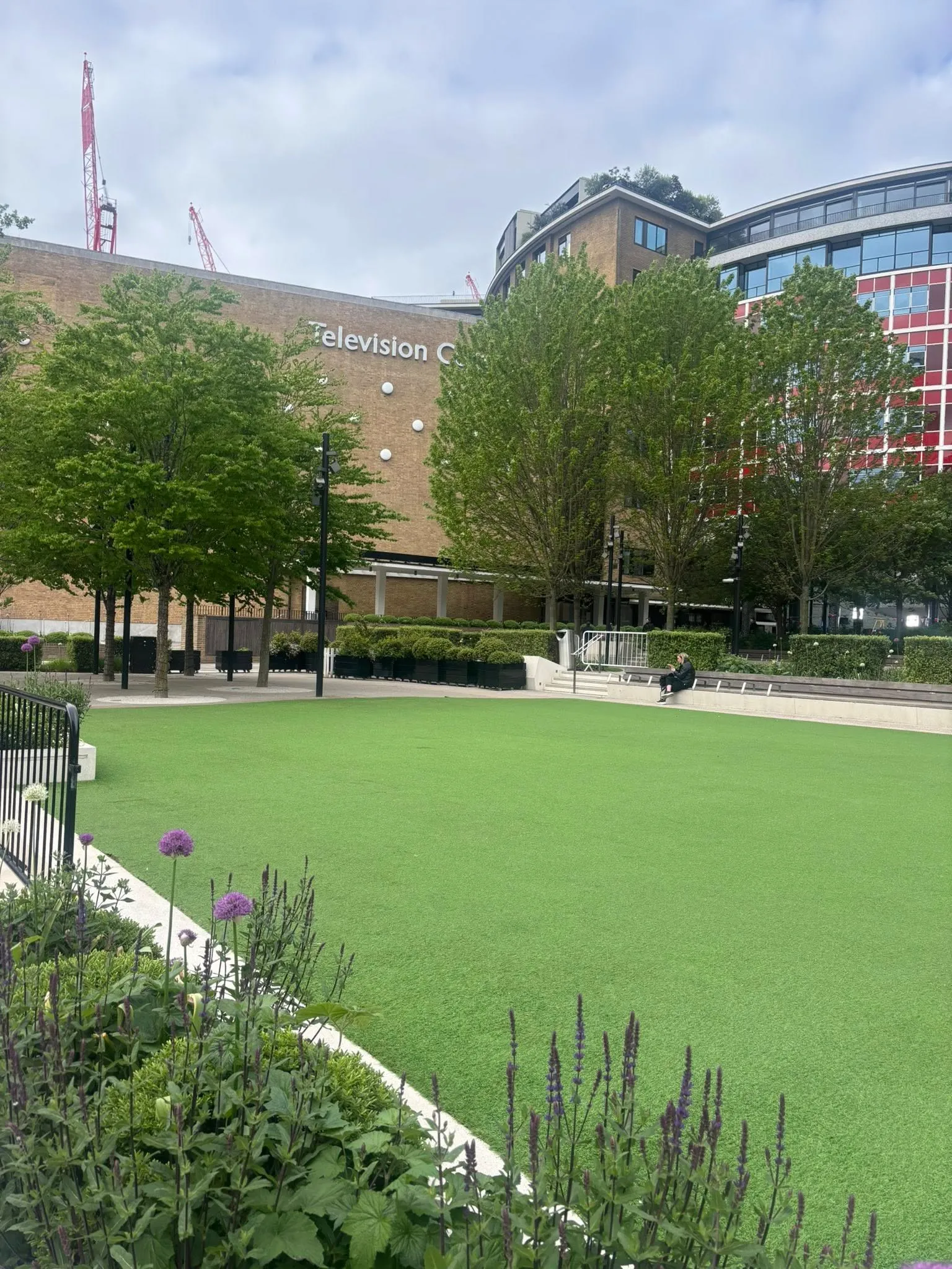 grass around a tree and play house