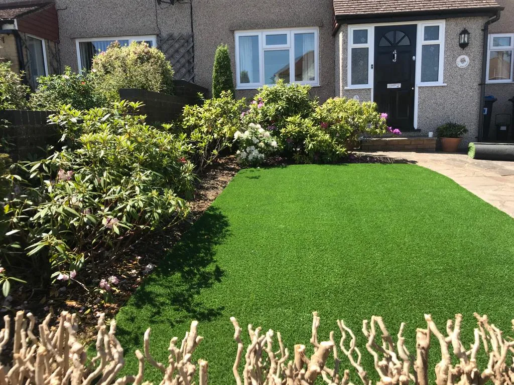 grass with bushes