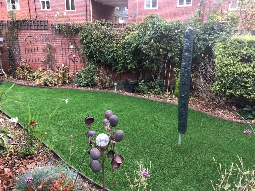 small grass around washing line