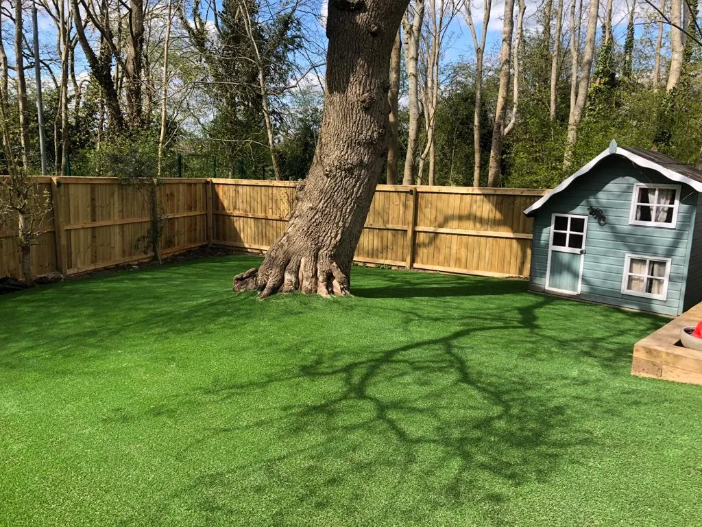 grass around a tree and play house